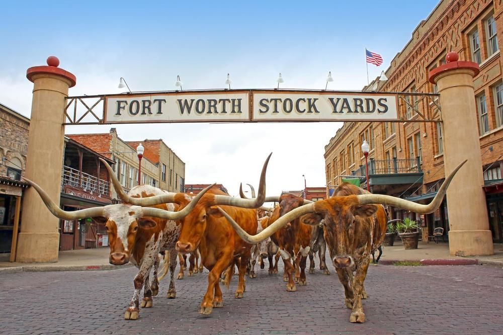 Scottish Inns Fort Worth Zewnętrze zdjęcie
